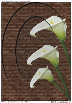 A4 "three Callas on Oval Embossed Wood"