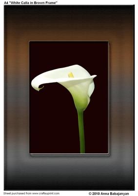 A4 "white Calla in Brown Frame"