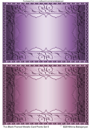 Two Blank Framed Metallic Card Fronts Set 5