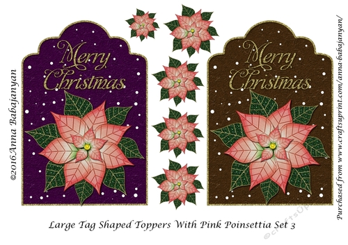 Large Tag Shaped Toppers With Pink Poinsettia Set 3