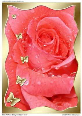 Plain A4 Rose Background Card Base 1