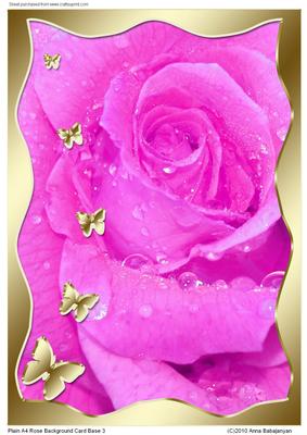 Plain A4 Rose Background Card Base 3