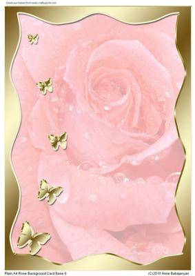 Plain A4 Rose Background Card Base 6