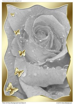 Plain A4 Rose Background Card Base 8