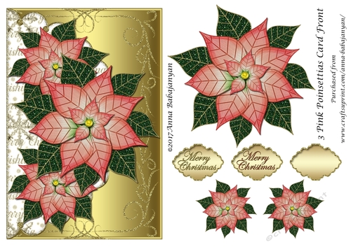 3 Pink Poinsettias Card Front