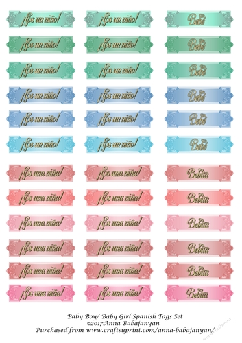 Baby Boy/ Baby Girl Spanish Tags Set