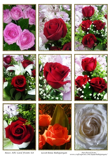 Roses ATC Card Fronts Set