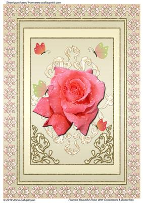 Framed Beautiful Rose with Ornaments & Butterflies