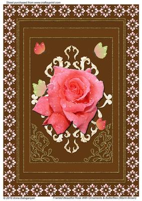 Framed Beautiful Rose with Ornaments & Butterflies (wb)