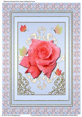 Framed Beautiful Rose with Ornaments & Butterflies (pb)