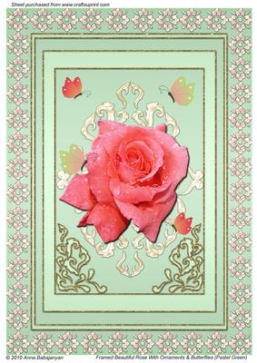 Framed Beautiful Rose with Ornaments & Butterflies (pg)