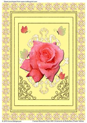 Framed Beautiful Rose with Ornaments & Butterflies (py)