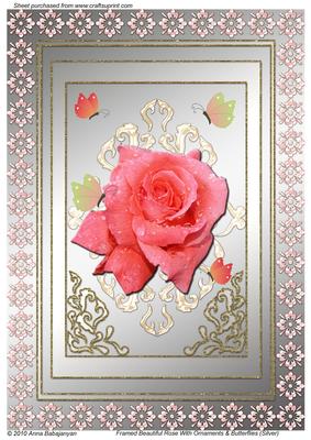 Framed Beautiful Rose with Ornaments & Butterflies (silver)