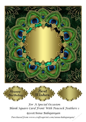 For A Special Occasion Blank Square Card Front With Peacock Feathers 1