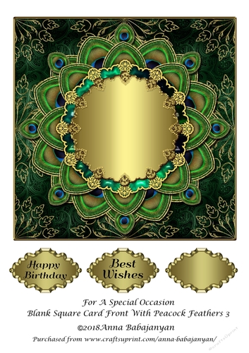 For A Special Occasion Blank Square Card Front With Peacock Feathers 3