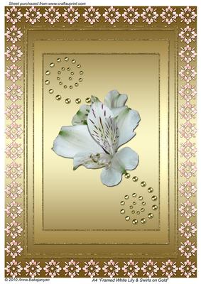 A4 Framed White Lily & Swirls on Gold