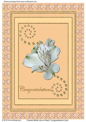 Framed White Lily on Peach Congratulations Card