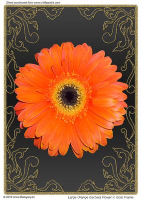 Large Orange Gerbera Flower in Gold Frame