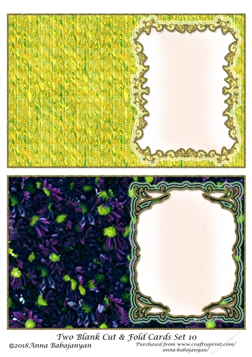 Two Blank Cut & Fold Cards Set 10