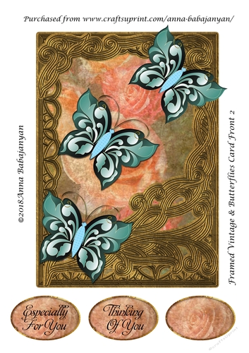 Framed Vintage & Butterflies Card Front 2