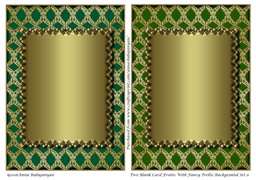 Two Blank Card Fronts With Fancy Trellis Background Set 9