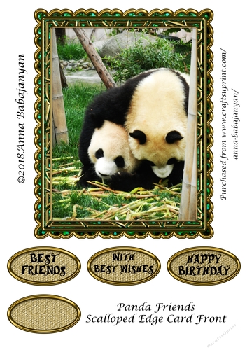Panda Friends Scalloped Edge Card Front