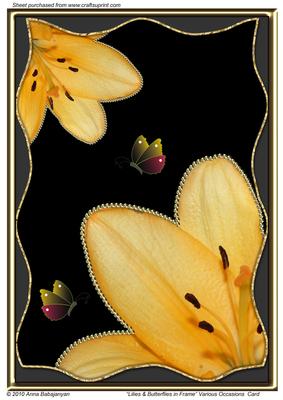 Lilies & Butterflies in Frame Various Occasions Card