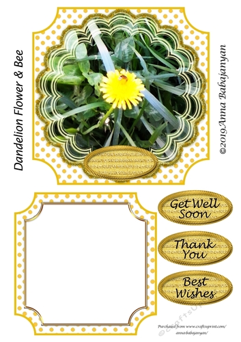Dandelion Flower & Bee
