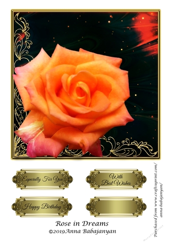 Rose in Dreams