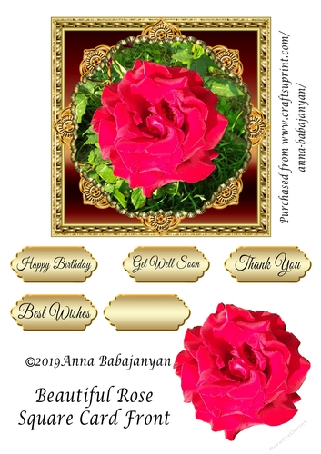Beautiful Rose Square Card Front