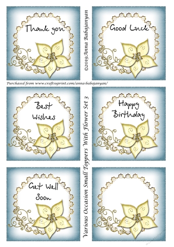 Various Occasion Small Toppers With Flower Set 3