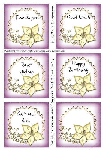 Various Occasion Small Toppers With Flower Set 4