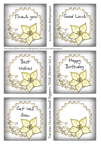 Various Occasion Small Toppers With Flower Set 5