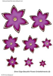 Silver Edge Beautiful Flower Embellishments 6
