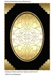 Sumptuous Blank Card Front / Aperture Card Front 10
