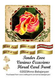 Tender Love Various Occasions Floral Card Front