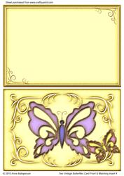 Two Vintage Butterflies Card Front & Matching Insert 4