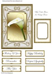 White Calla Flower in Vintage Frame