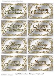 Gold Swirly Frame Christmas Captions 2 (silver)