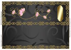 Beauty & Style Dl Card 9