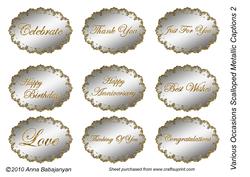 Various Occasions Scalloped Metallic Captions 2
