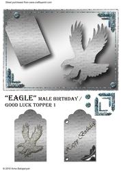 Eagle Male Birthday / Good Luck Topper 1