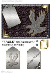 Eagle Male Birthday / Good Luck Topper 3