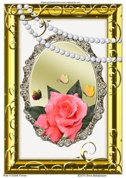 Rose in Double Frames