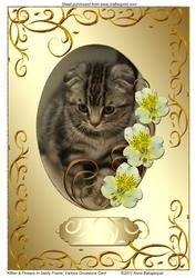 Kitten & Flowers in Swirly Frame Various Occasions Card