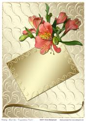 Birthday / Thank You / Congratulations Card 1