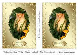 Beautiful Rose Best Wishes/ Thank You Card Fronts