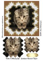 Kitten is Missing You Scalloped Pyramid Topper