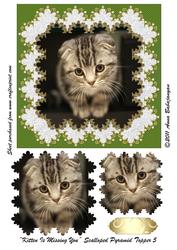 Kitten is Missing You Scalloped Pyramid Topper 5