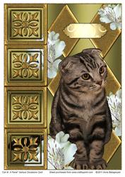 Cat at a Panel Various Occasions Card